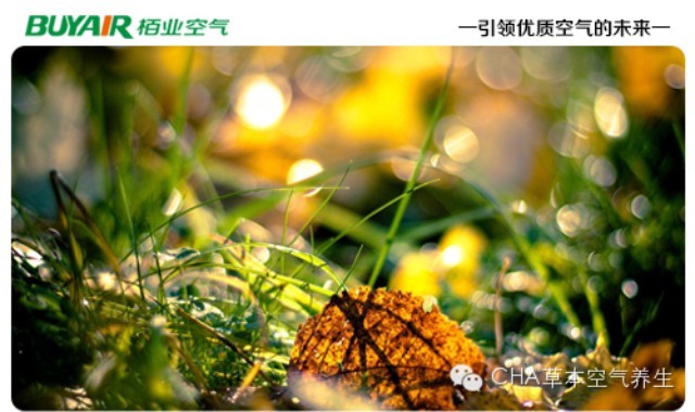 步入秋天，空氣凈化器不可或缺