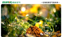 步入秋天，空氣凈化器不可或缺